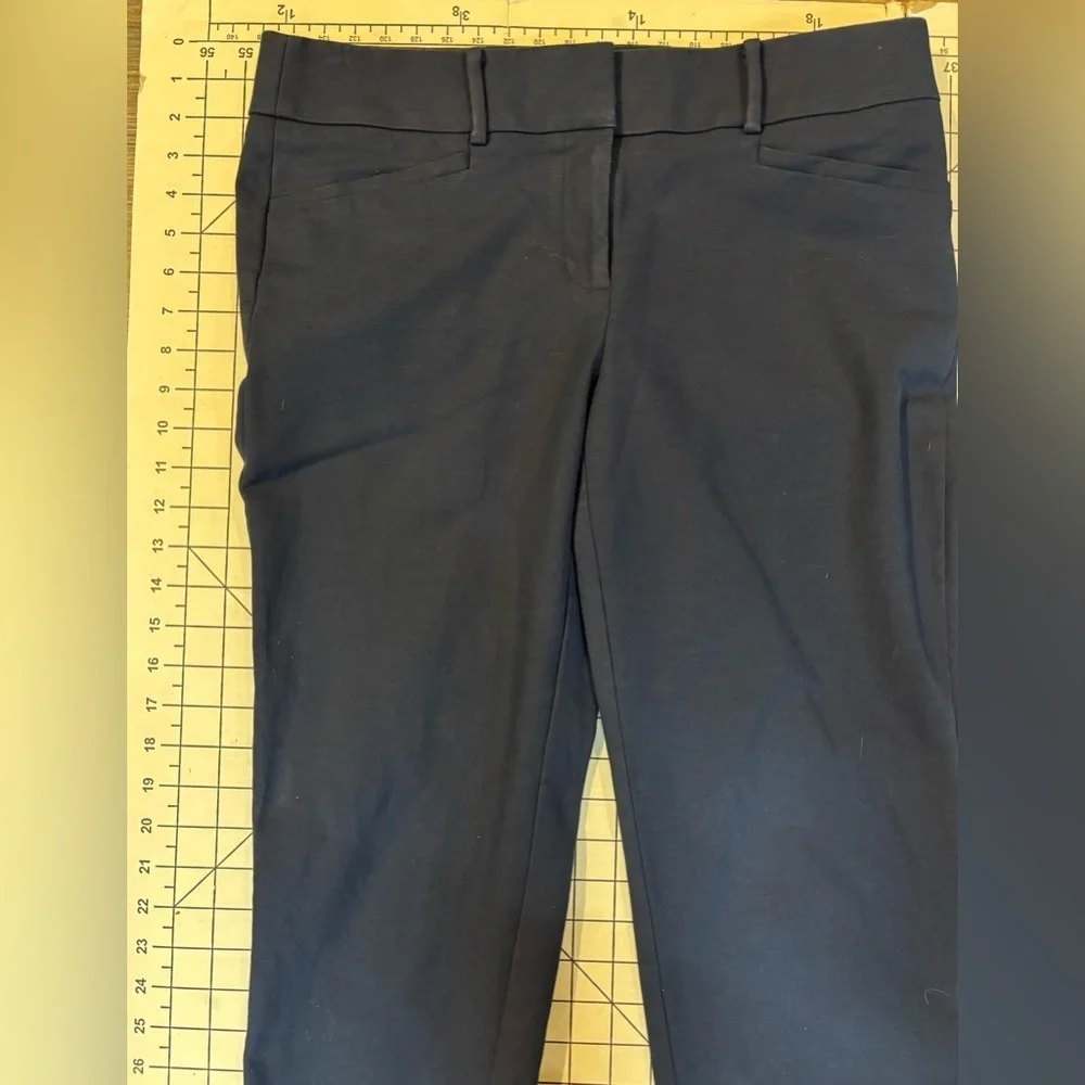 LOFT Women’s Size‎ 6 Blue Marisa “The Riviera Pant” Trousers